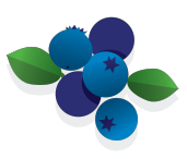 Blueberry