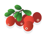 Cranberry