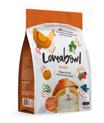 Cats - Chicken