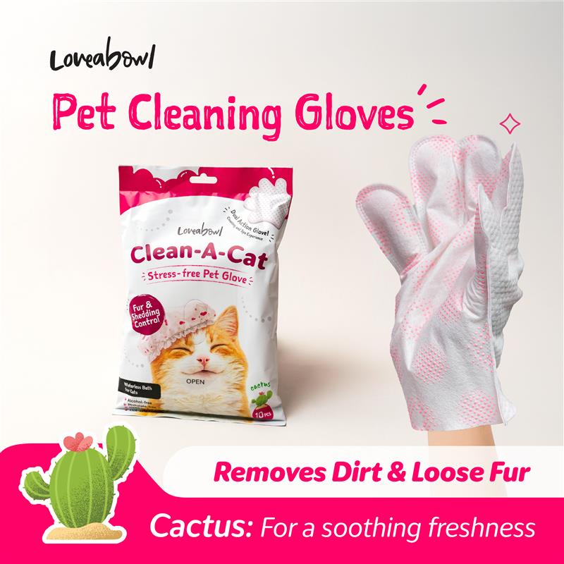 Cat-Cleaning-gloves-cactus